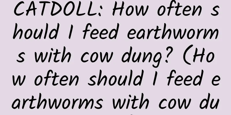 CATDOLL: How often should I feed earthworms with cow dung? (How often should I feed earthworms with cow dung?)