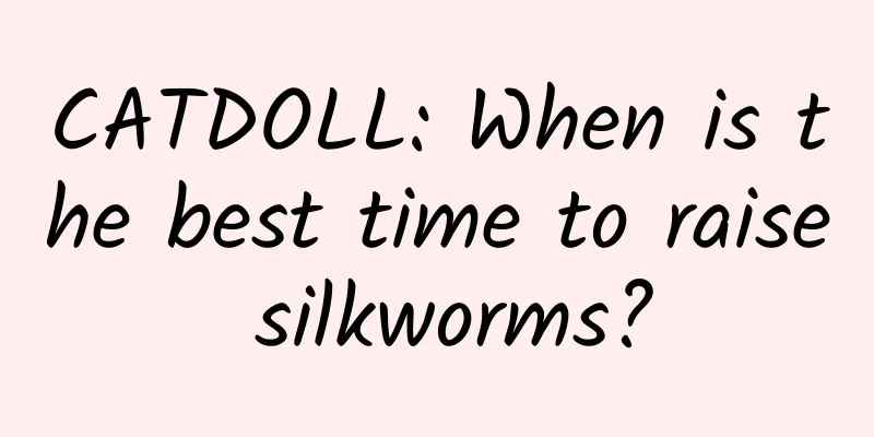 CATDOLL: When is the best time to raise silkworms?