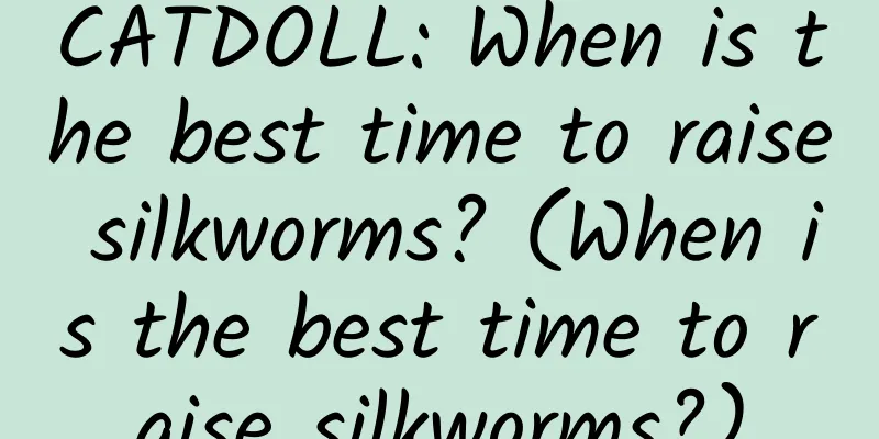 CATDOLL: When is the best time to raise silkworms? (When is the best time to raise silkworms?)