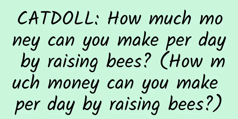 CATDOLL: How much money can you make per day by raising bees? (How much money can you make per day by raising bees?)
