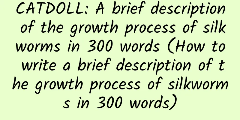 CATDOLL: A brief description of the growth process of silkworms in 300 words (How to write a brief description of the growth process of silkworms in 300 words)