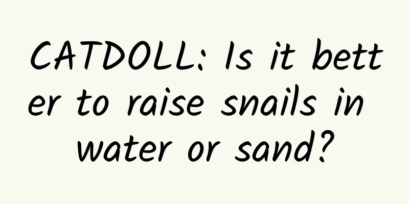 CATDOLL: Is it better to raise snails in water or sand?