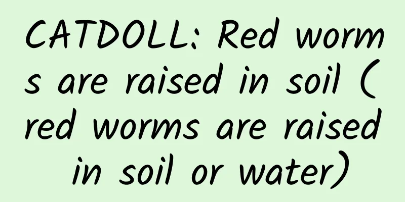 CATDOLL: Red worms are raised in soil (red worms are raised in soil or water)