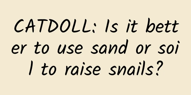 CATDOLL: Is it better to use sand or soil to raise snails?
