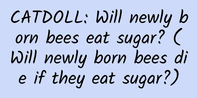 CATDOLL: Will newly born bees eat sugar? (Will newly born bees die if they eat sugar?)