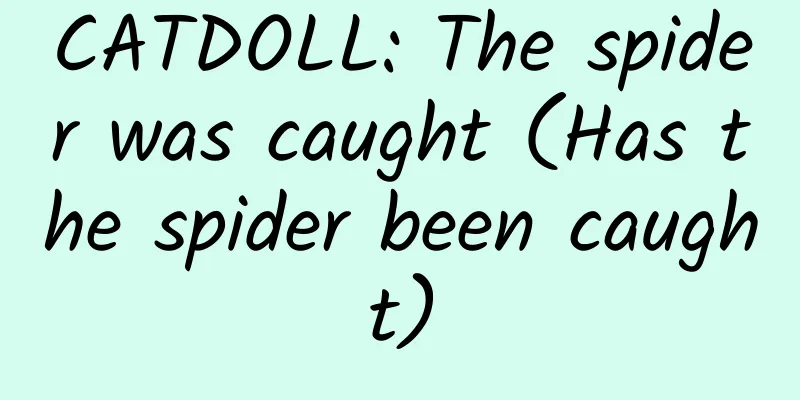 CATDOLL: The spider was caught (Has the spider been caught)