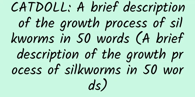 CATDOLL: A brief description of the growth process of silkworms in 50 words (A brief description of the growth process of silkworms in 50 words)