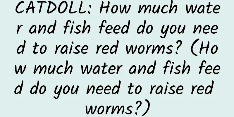 CATDOLL: How much water and fish feed do you need to raise red worms? (How much water and fish feed do you need to raise red worms?)