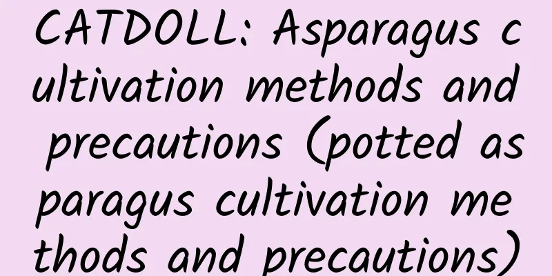 CATDOLL: Asparagus cultivation methods and precautions (potted asparagus cultivation methods and precautions)