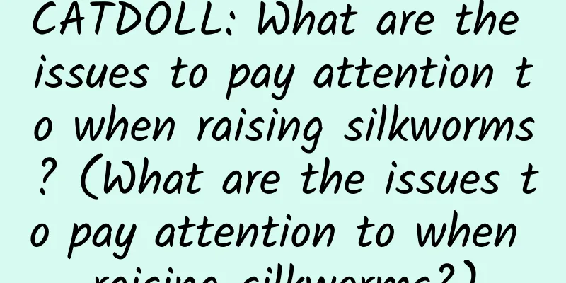 CATDOLL: What are the issues to pay attention to when raising silkworms? (What are the issues to pay attention to when raising silkworms?)