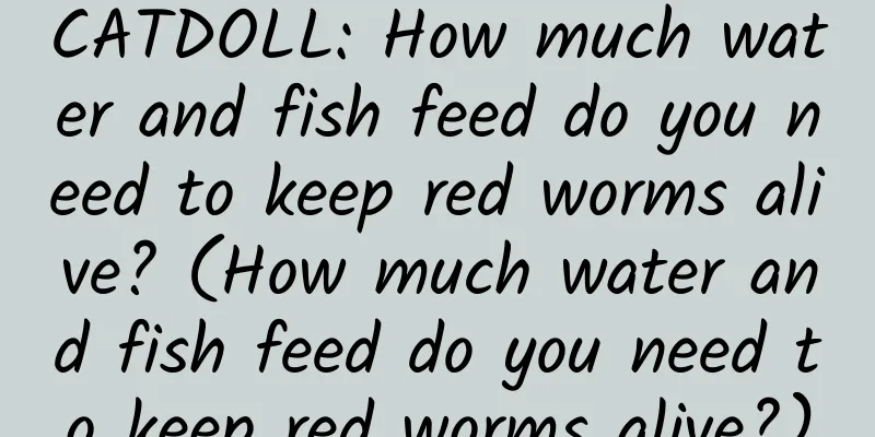 CATDOLL: How much water and fish feed do you need to keep red worms alive? (How much water and fish feed do you need to keep red worms alive?)