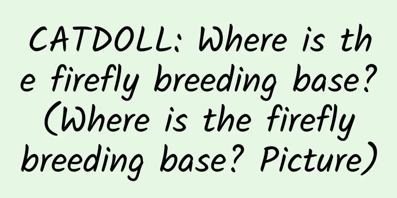 CATDOLL: Where is the firefly breeding base? (Where is the firefly breeding base? Picture)