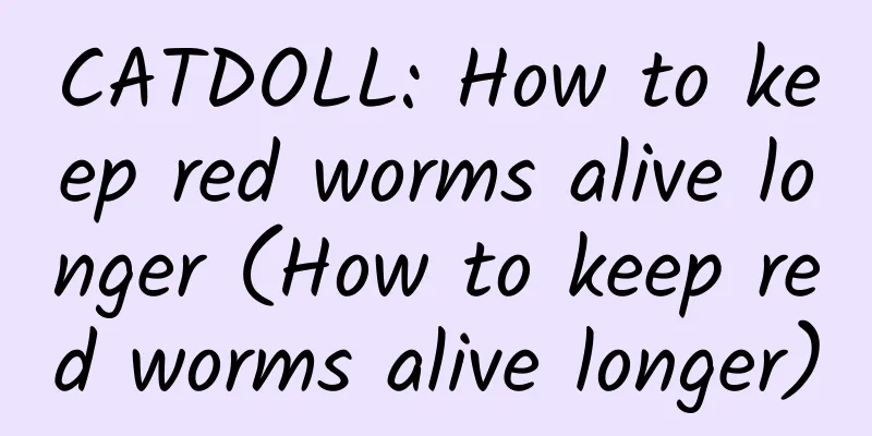 CATDOLL: How to keep red worms alive longer (How to keep red worms alive longer)