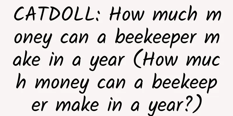 CATDOLL: How much money can a beekeeper make in a year (How much money can a beekeeper make in a year?)