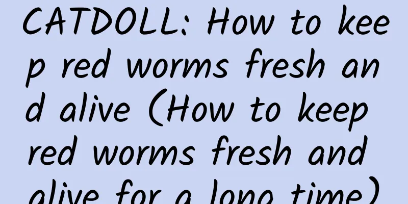CATDOLL: How to keep red worms fresh and alive (How to keep red worms fresh and alive for a long time)
