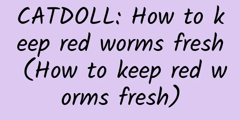 CATDOLL: How to keep red worms fresh (How to keep red worms fresh)
