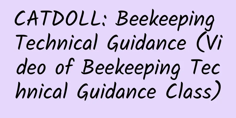 CATDOLL: Beekeeping Technical Guidance (Video of Beekeeping Technical Guidance Class)