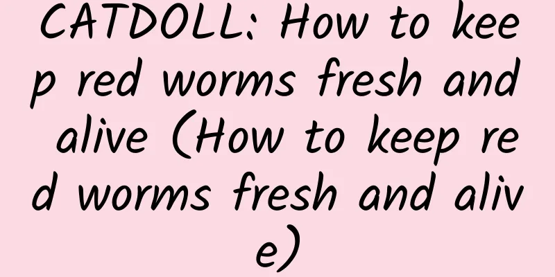 CATDOLL: How to keep red worms fresh and alive (How to keep red worms fresh and alive)