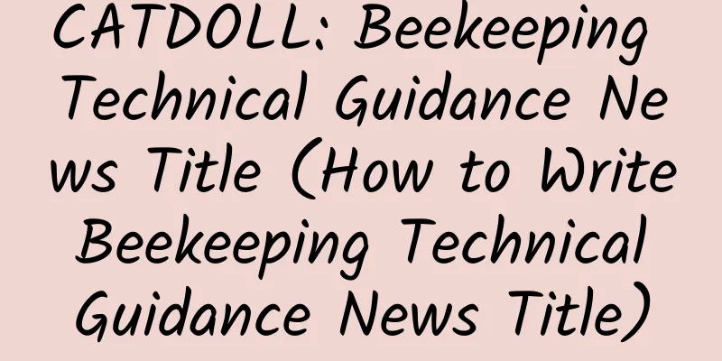 CATDOLL: Beekeeping Technical Guidance News Title (How to Write Beekeeping Technical Guidance News Title)