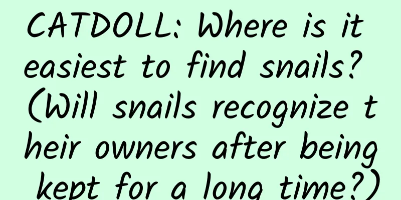 CATDOLL: Where is it easiest to find snails? (Will snails recognize their owners after being kept for a long time?)