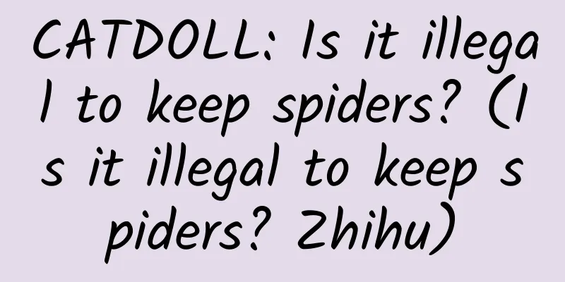 CATDOLL: Is it illegal to keep spiders? (Is it illegal to keep spiders? Zhihu)