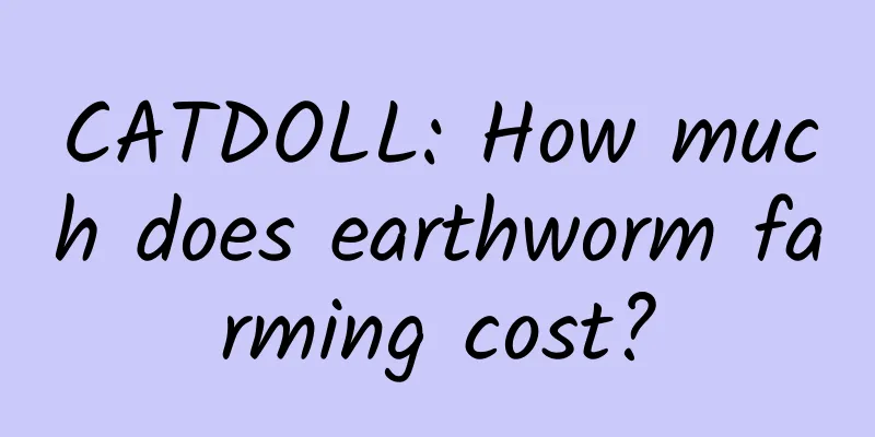 CATDOLL: How much does earthworm farming cost?