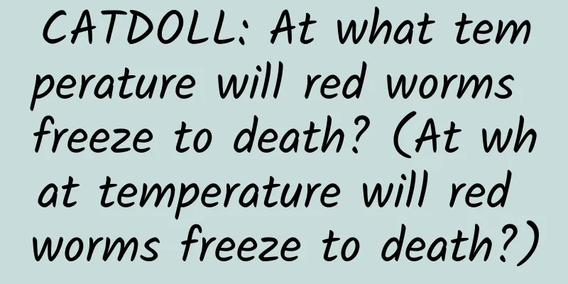 CATDOLL: At what temperature will red worms freeze to death? (At what temperature will red worms freeze to death?)