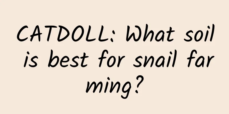 CATDOLL: What soil is best for snail farming?
