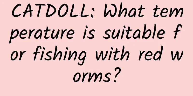 CATDOLL: What temperature is suitable for fishing with red worms?