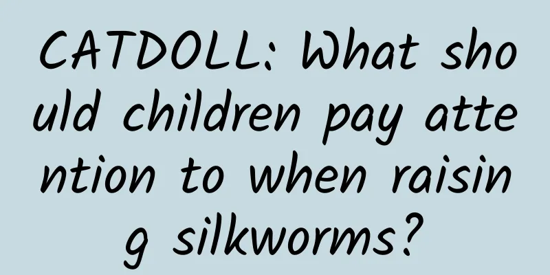 CATDOLL: What should children pay attention to when raising silkworms?