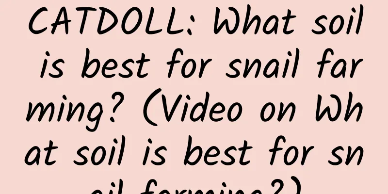 CATDOLL: What soil is best for snail farming? (Video on What soil is best for snail farming?)