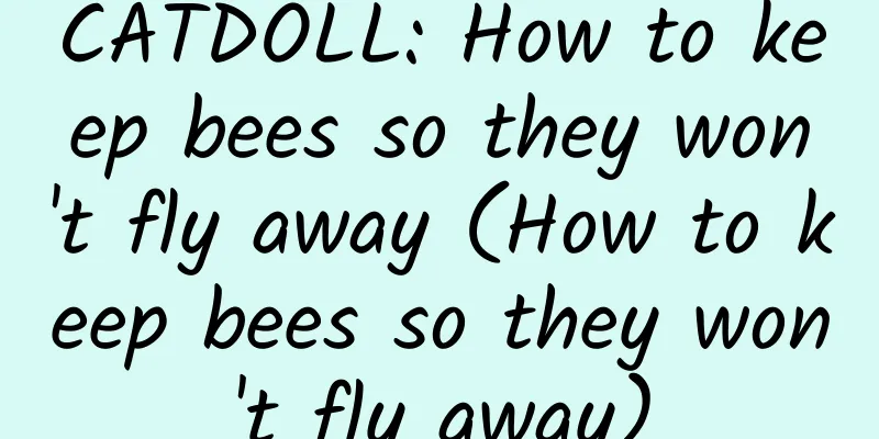 CATDOLL: How to keep bees so they won't fly away (How to keep bees so they won't fly away)