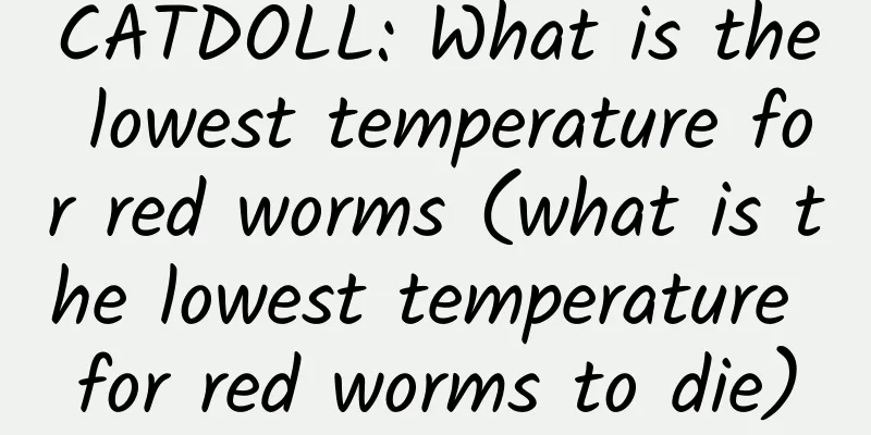 CATDOLL: What is the lowest temperature for red worms (what is the lowest temperature for red worms to die)