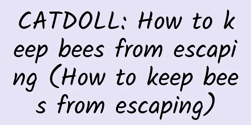 CATDOLL: How to keep bees from escaping (How to keep bees from escaping)