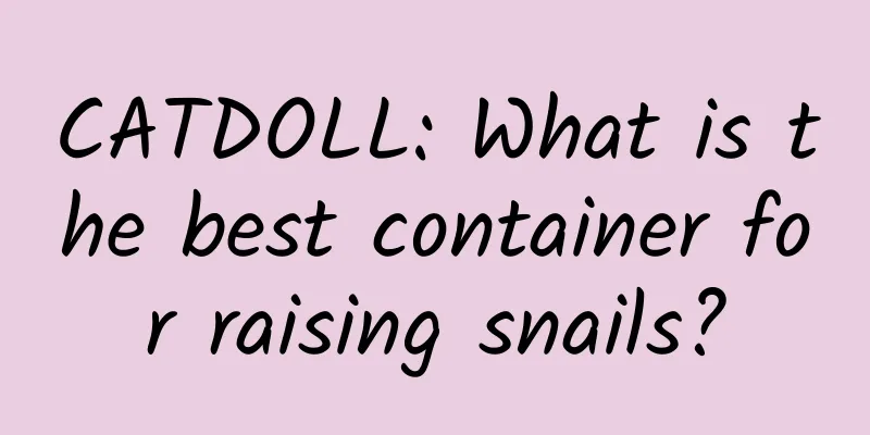 CATDOLL: What is the best container for raising snails?