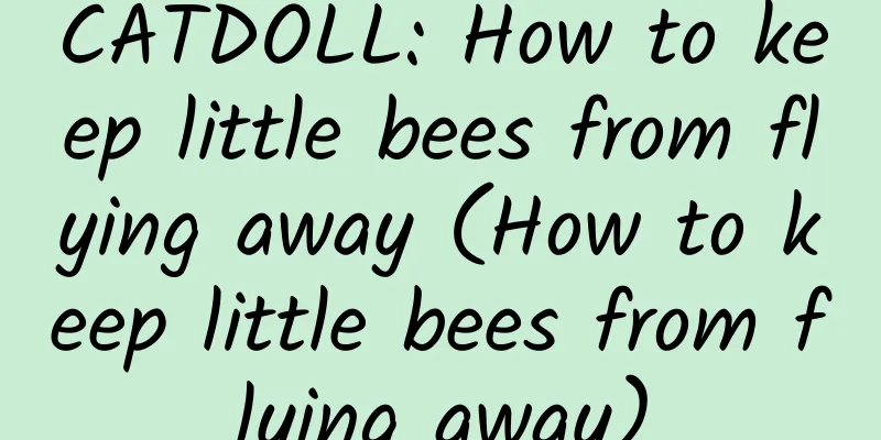 CATDOLL: How to keep little bees from flying away (How to keep little bees from flying away)