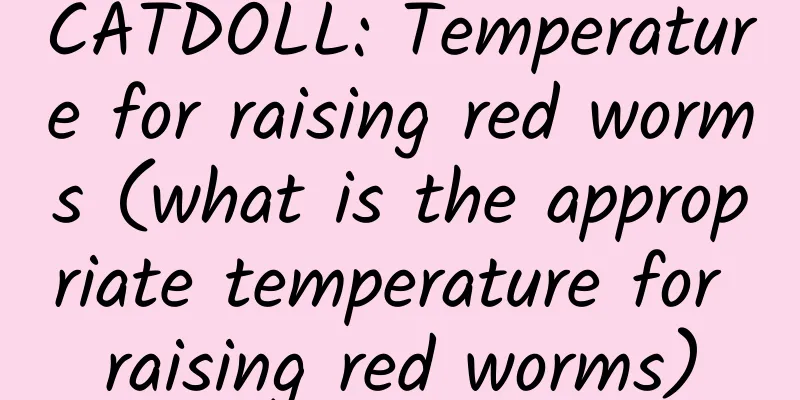 CATDOLL: Temperature for raising red worms (what is the appropriate temperature for raising red worms)