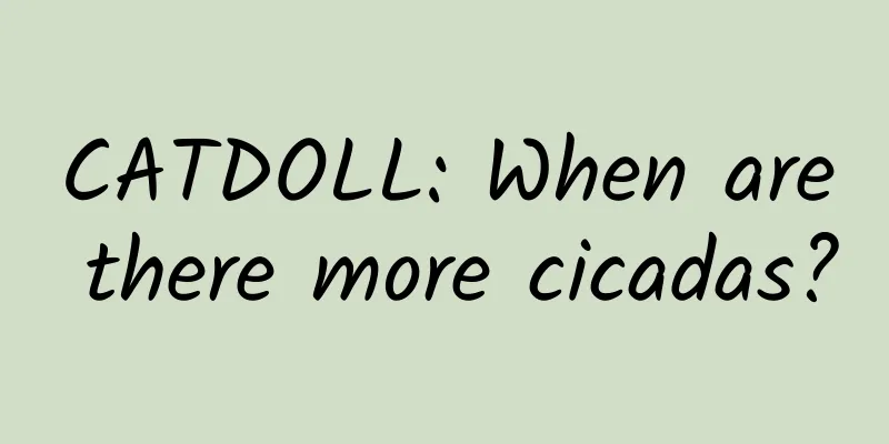 CATDOLL: When are there more cicadas?