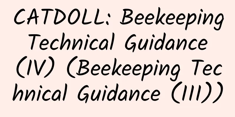 CATDOLL: Beekeeping Technical Guidance (IV) (Beekeeping Technical Guidance (III))