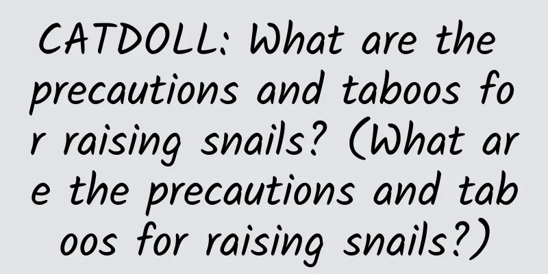 CATDOLL: What are the precautions and taboos for raising snails? (What are the precautions and taboos for raising snails?)