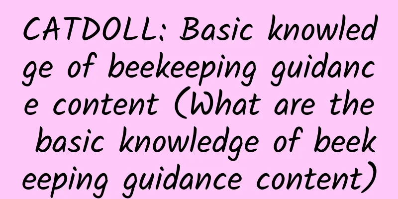 CATDOLL: Basic knowledge of beekeeping guidance content (What are the basic knowledge of beekeeping guidance content)