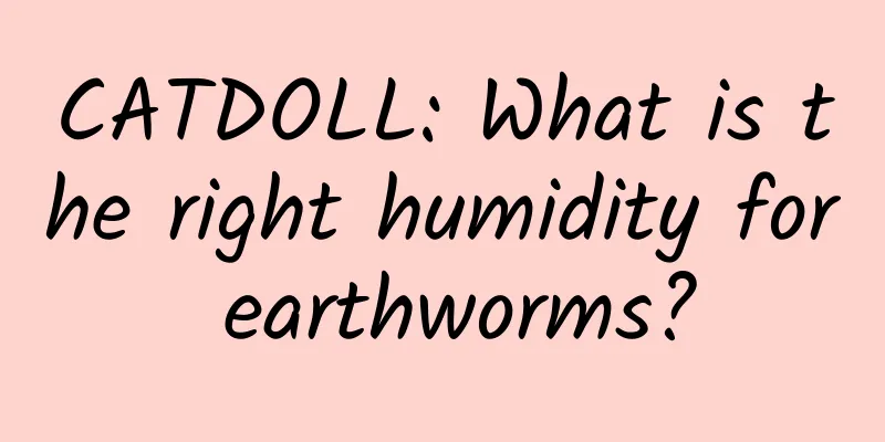 CATDOLL: What is the right humidity for earthworms?