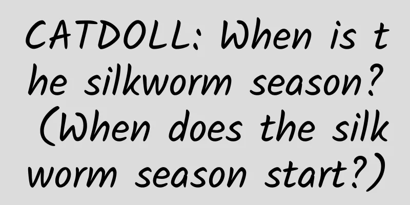 CATDOLL: When is the silkworm season? (When does the silkworm season start?)