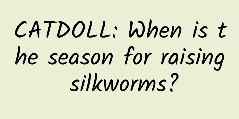 CATDOLL: When is the season for raising silkworms?