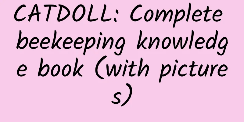 CATDOLL: Complete beekeeping knowledge book (with pictures)