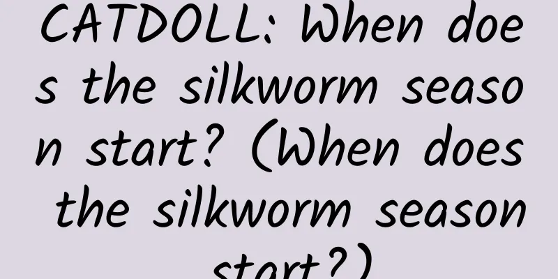 CATDOLL: When does the silkworm season start? (When does the silkworm season start?)