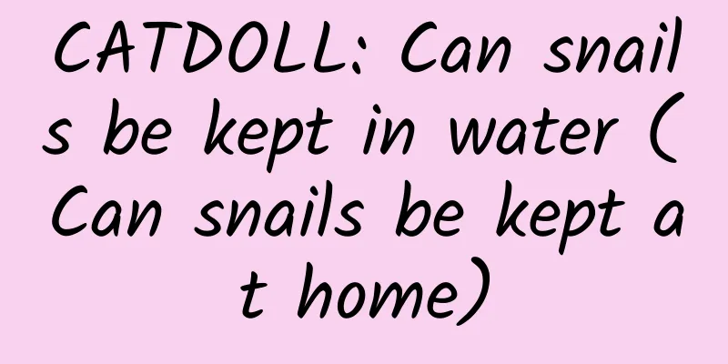 CATDOLL: Can snails be kept in water (Can snails be kept at home)