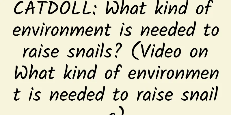 CATDOLL: What kind of environment is needed to raise snails? (Video on What kind of environment is needed to raise snails)