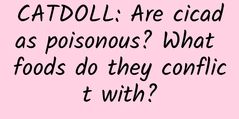 CATDOLL: Are cicadas poisonous? What foods do they conflict with?