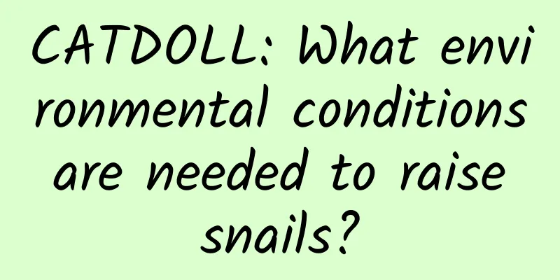 CATDOLL: What environmental conditions are needed to raise snails?